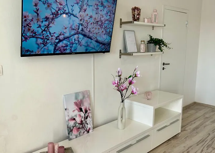 Magnolia * Bratislava
