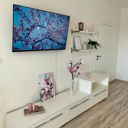 Magnolia * 브라티슬라바